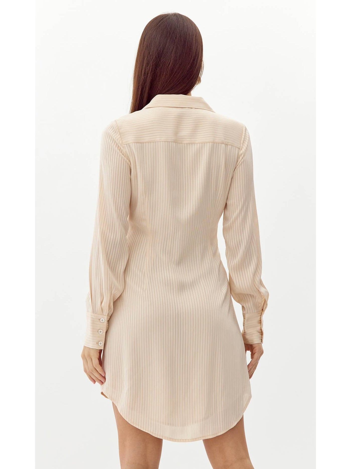 Randa Shadow Stripe Dress in Champagne