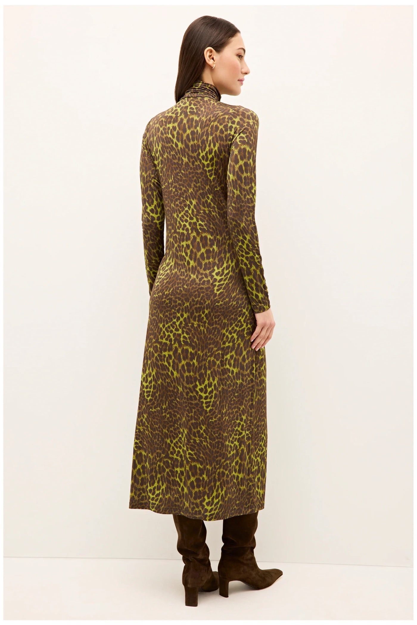Paxton Dress in Grasslands