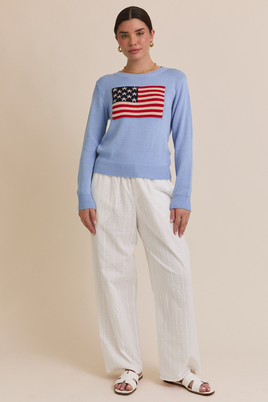 American Flag Crew Neck Sweater in Baby Blue