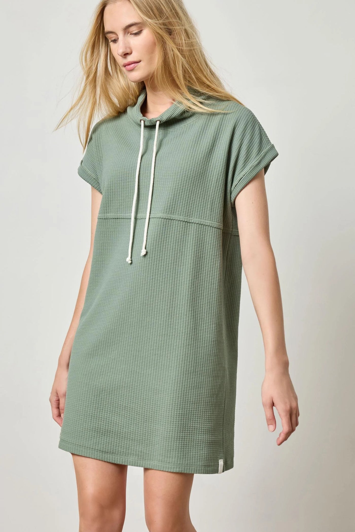 Roll Sleeve Seamed Dress in Seagrass