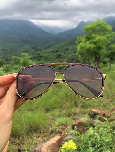 Fulton Aviator Sunglasses in Brown Tortoise