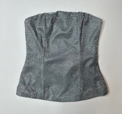 Catalina Metallic Tube Top in Silver