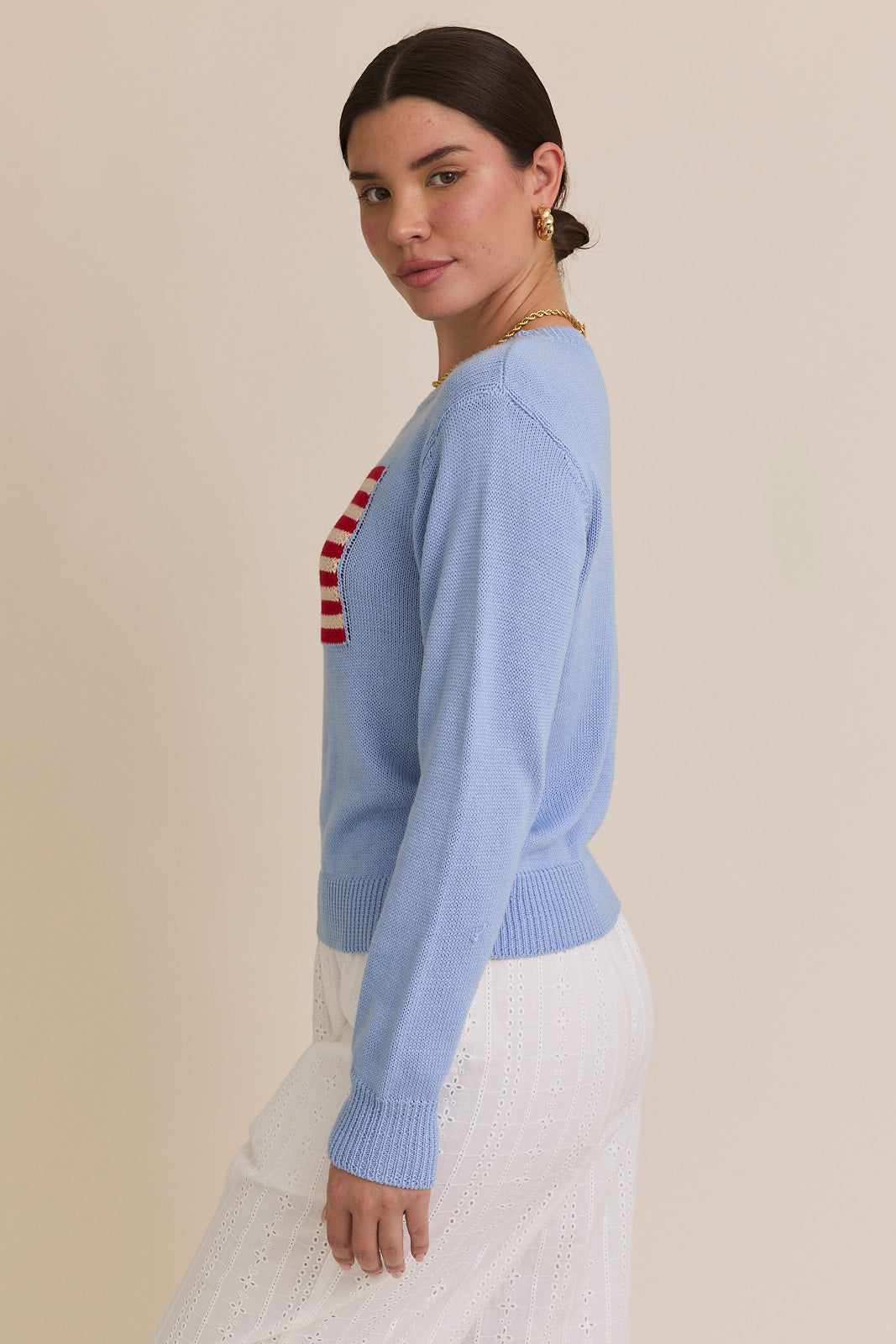 American Flag Crew Neck Sweater in Baby Blue