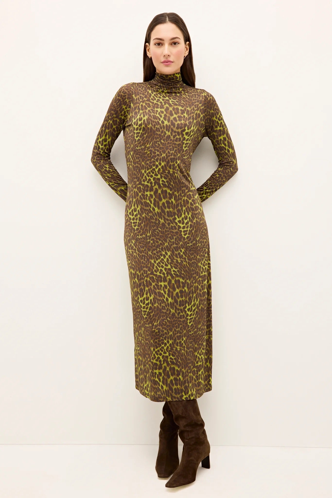 Paxton Dress in Grasslands