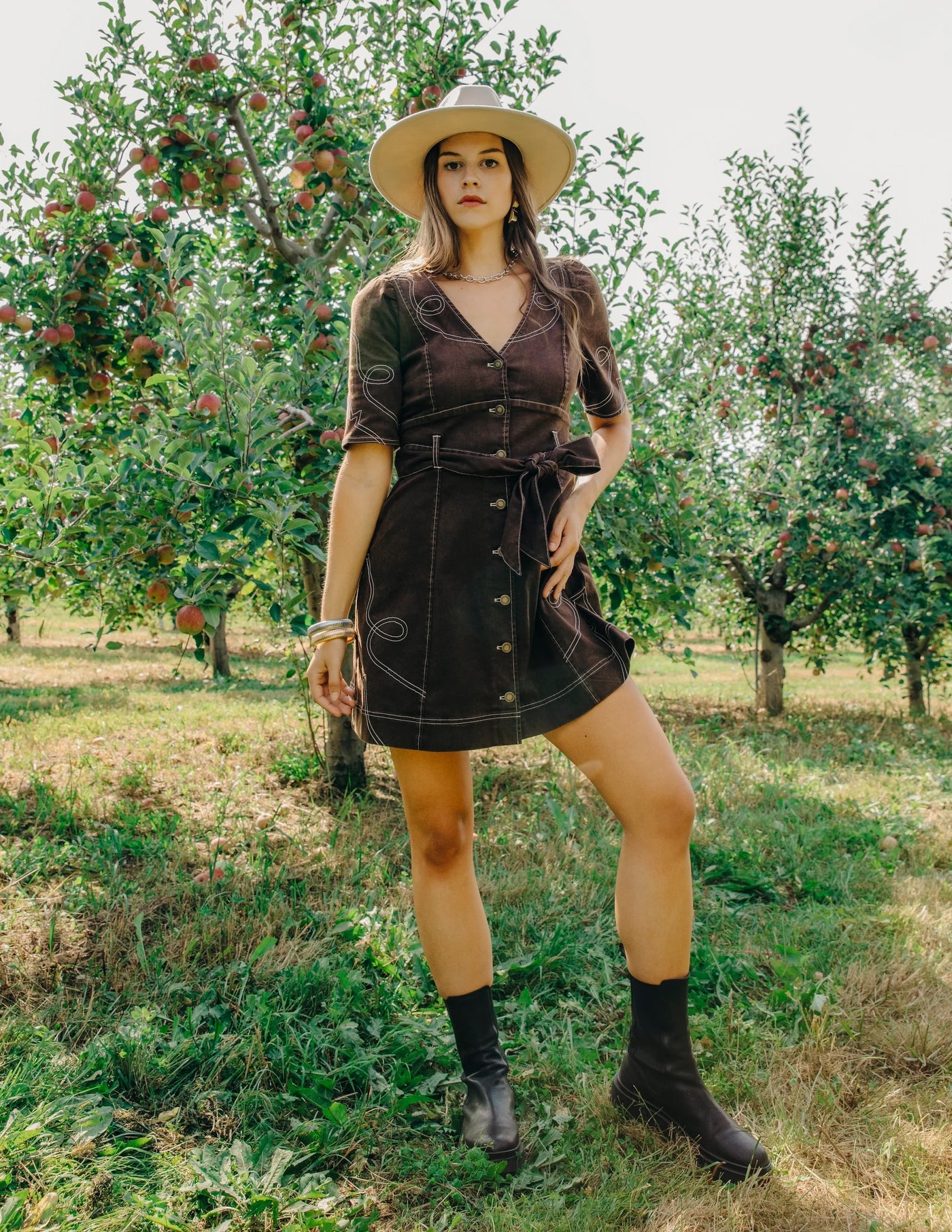 Ines Denim Dress in Espresso