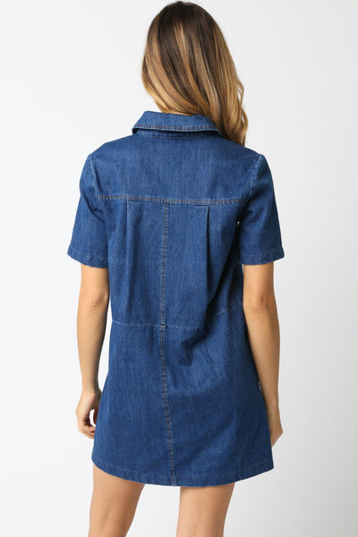 Lydia Denim Dress in Denim