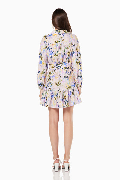 Skylah Dress in Multi