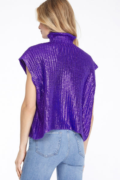 Metallic Sweater Top in Purple