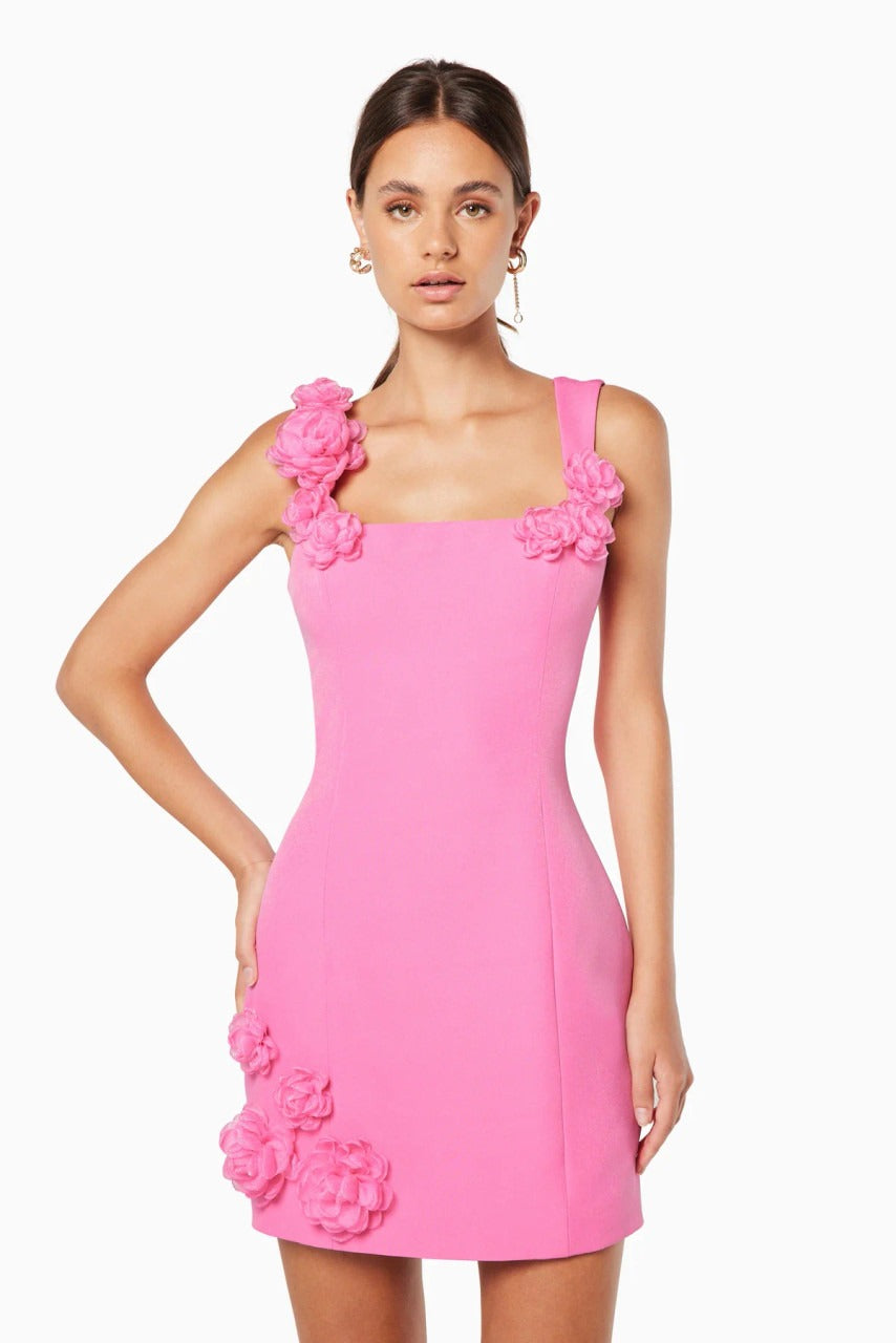 Trompe Dress in Pink